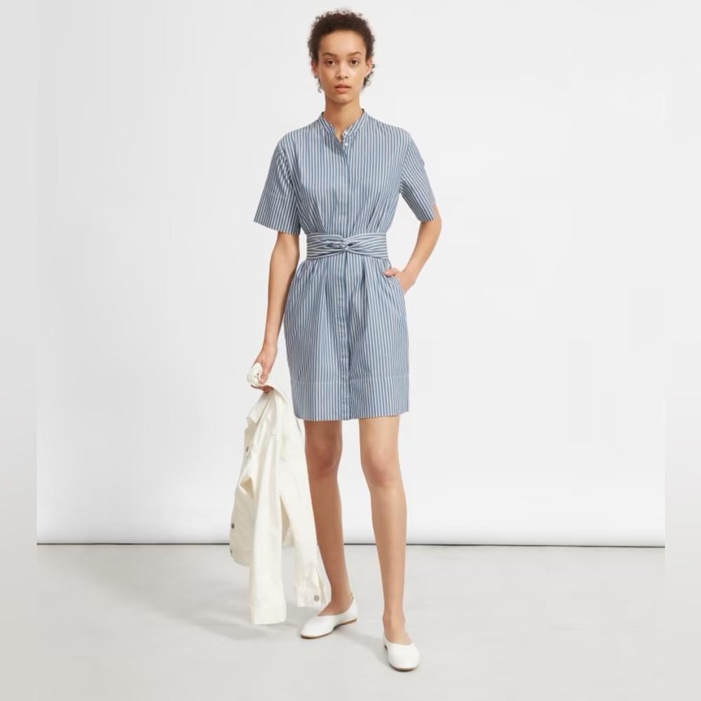 Everlane striped shirt dress